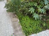 Casa, SCANDICCI, 339.000 €, 85,00 mq