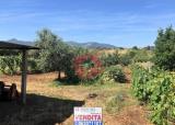 Particella, SAN CESAREO, 33.000 €, 3900,00 mq