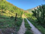 Particella, GIFFONI VALLE PIANA, 13.000 €, 8900,00 mq