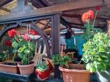 Appartamento, LIVORNO, 170.000 €, 70,00 mq