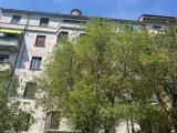 Affitto, Appartamento, MILANO, 700 €, 32,00 mq