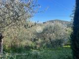 Particella, TERNI, 35.000 €, 3320,00 mq