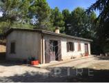 Particella, ASSISI, 200.000 €, 49073,00 mq