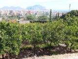 Particella, PALERMO, 35.000 €, 1140,00 mq