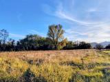 Particella, SARZANA, 40.000 €, 2350,00 mq