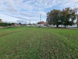Particella, ARDEA, 99.000 €, 35000,00 mq