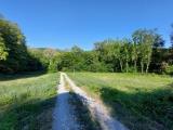 Appartamento, MISSAGLIA, 455.000 €, 304,00 mq