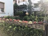 Affitto, Appartamento, PARMA, 1.200 €, 100,00 mq