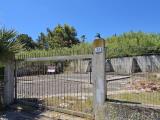 Particella, ALCAMO, 37.000 €, 500,00 mq
