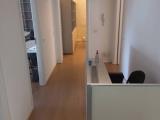 Affitto, Superfici commerciali, SEGRATE, 400 €, 25,00 mq