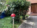 Affitto, Appartamento, PISA, 1.300 €, 120,00 mq