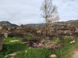 Particella, SAN TEODORO, 43.000 €, 6681,00 mq