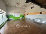 Superfici commerciali, ARCOLE, 250.000 €, 310,00 mq