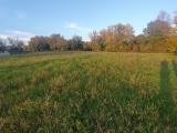 Particella, SPOLETO, 130.000 €, 6000,00 mq