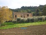 Particella, MONTEGIORGIO, 59.000 €, 290,00 mq