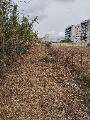 Particella, PALERMO, 100.000 €, 2600,00 mq