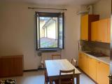 Affitto, Appartamento, CODOGNO, 500 €, 50,00 mq