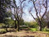 Casa, SENIGALLIA, 200.000 €, 250,00 mq