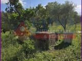 Particella, SOMMA VESUVIANA, 55.000 €, 3700,00 mq
