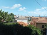 Affitto, Appartamento, IMPERIA, 600 €, 50,00 mq