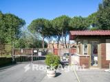 Appartamento, ROSSA, 520.000 €, 130,00 mq