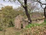 Particella, VIBO VALENTIA, 25.000 €, 3130,00 mq