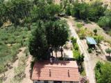 Particella, PRATO, 280.000 €, 23000,00 mq