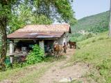 Particella, GRONE, 150.000 €, 420,00 mq