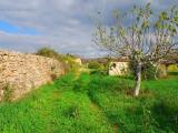 Particella, SALVE, 33.000 €, 9700,00 mq