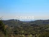 Particella, AVOLA, 65.000 €, 11000,00 mq