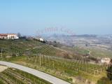 Particella, CALOSSO, 160.000 €, 4200,00 mq