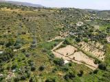 Particella, CONTRADA, 80.000 €, 13000,00 mq