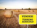Particella, CORREZZANA, <i>A richiesta</i>, 6200,00 mq
