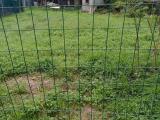 Particella, LIVORNO, 36.000 €, 1000,00 mq