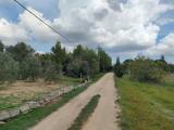 Particella, NEVIANO, 25.000 €, 5163,00 mq