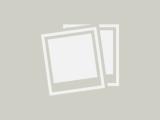 Affitto, Appartamento, SAONARA, 1.200 €, 100,00 mq