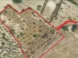 Particella, CALTANISSETTA, 22.000 €, 9831,00 mq