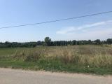 Particella, ASSISI, 25.000 €, 4600,00 mq