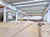 Affitto, Superfici commerciali, ROVIGO, 9.500 €, 3800,00 mq