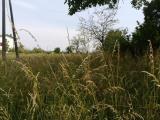 Particella, FONTE, 80.000 €, 1000,00 mq