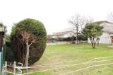 Particella, RAVENNA, 76.000 €, 563,00 mq