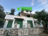 Casa, MERCOGLIANO, <i>A richiesta</i>, 254,00 mq
