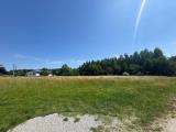 Particella, PORPETTO, 60.000 €, 3660,00 mq