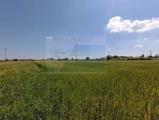 Particella, SIRACUSA, 88.000 €, 30000,00 mq