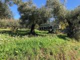 Particella, MARCELLINA, 45.000 €, 1000,00 mq