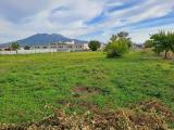 Superfici commerciali, VENTOTENE, <i>A richiesta</i>, 6840,00 mq
