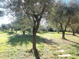 Appartamento, FOSSÒ, 279.000 €, 156,00 mq