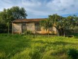 Particella, MONTE ARGENTARIO, 290.000 €, 60,00 mq