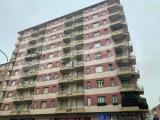 Affitto, Appartamento, TORINO, 500 €, 50,00 mq