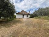 Casa, MONTALTO UFFUGO, 160.000 €, 175,00 mq